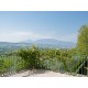 Search_EXCLUSIVE AND HISTORICAL PROPERTY WITH PARK IN ITALY Luxurious villa with frescoes for sale in Le Marche in Le Marche_19